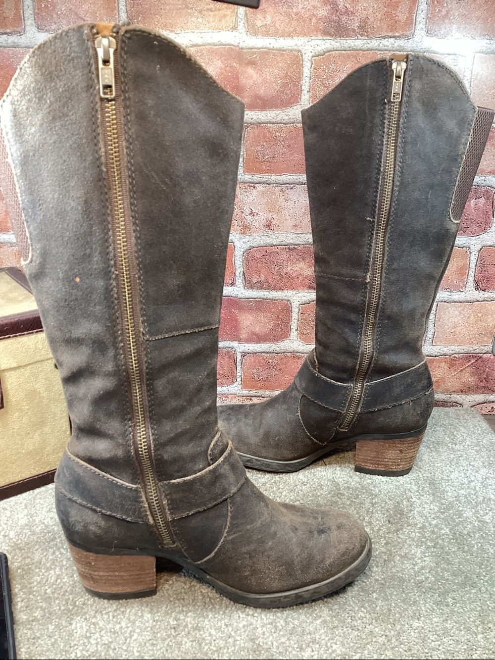 Born Loreza Womens Tall western riding boot size 7.5 - Picture 5 of 8